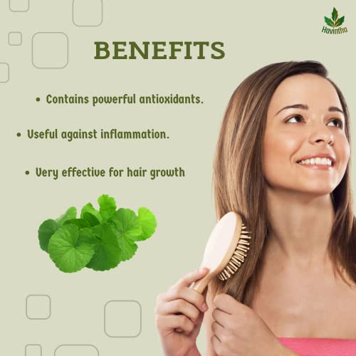 Havintha Natural Brahmi Powder for hair growth and Cleansing of Scalp | Eclipta Alba - 227 Grams - View 4 of 4