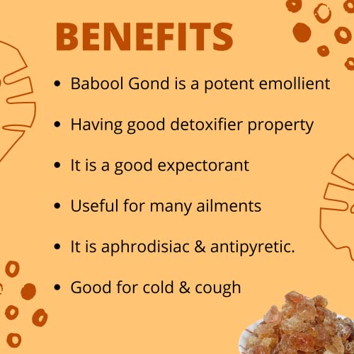 Havintha babool gond for teeth gums skin eyes throat health - 227 grams - View 5 of 5