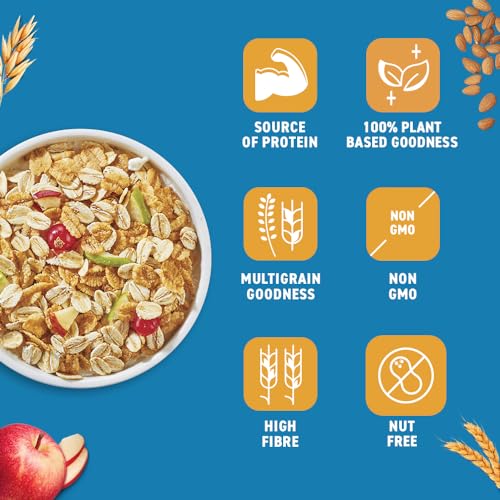 Bagrry's Crunchy Muesli No Added Sugar 0% 500g Box|90% Multi Grains|60% Fibre Rich Oats with Bran|Whole Grain Breakfast Cereal|Helps Manage Weight|0% Added Sugar|Vegan and Plant Based Muesli - View 2 of 5