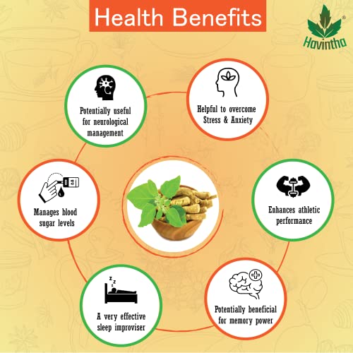Havintha Natural Ashwagandha Powder for Helps Fight Anxiety and Support Health, Immunity Booster | Organic Ashwagandha Churna - 100 gm - View 2 of 4