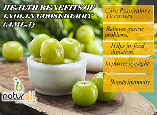 B Naturall Amla Powder ( Phyllanthus Emblica / Indian Gooseberry) (Primium) - 100 GM by B Naturall - View 4 of 5