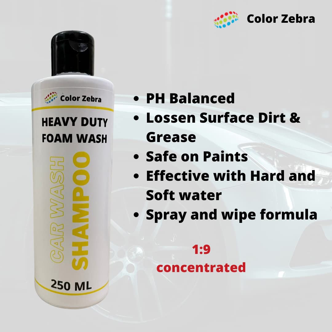 Color Zebra Dashboard Polish and Restorer Pack - 200 ML and Heavy Duty Foam Wash Shampoo Pack 250 ML | Clean and Protect Combo Pack (FROM INDIA) SAB - View 5 of 5