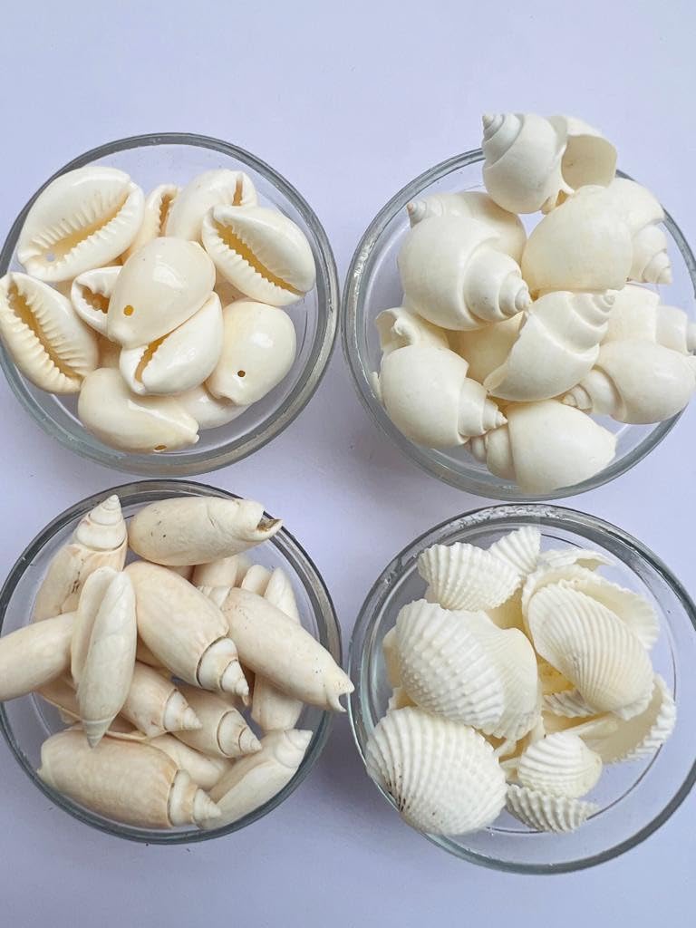 Kavya Fashion Combo of White Glossy Single Hole Small Size Cowrie/Round Sankh/Long Sankh/Ship Beads for Jewellery Making Design 200 Pices 50 Picese Each FROM INDIA (SAM) - View 2 of 2