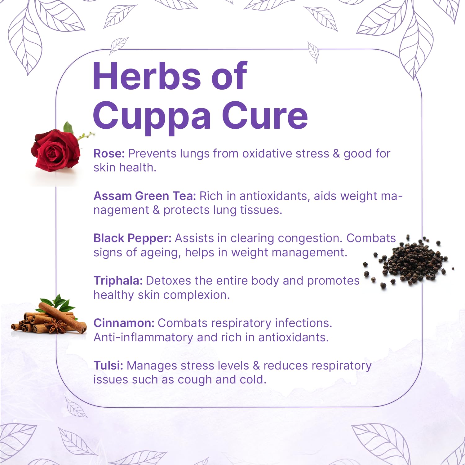 SOL Lung Detox Tea - Anti Pollution &amp; Anti Smoking Herbal Drink | Triphala, Fennel, Senna Leaves, Tulsi, Rose, Ginger, Pepper For Clean Lungs | Helps Quit Smoking (40 Tea Bags) (FROM INDIA) SAB - View 6 of 8