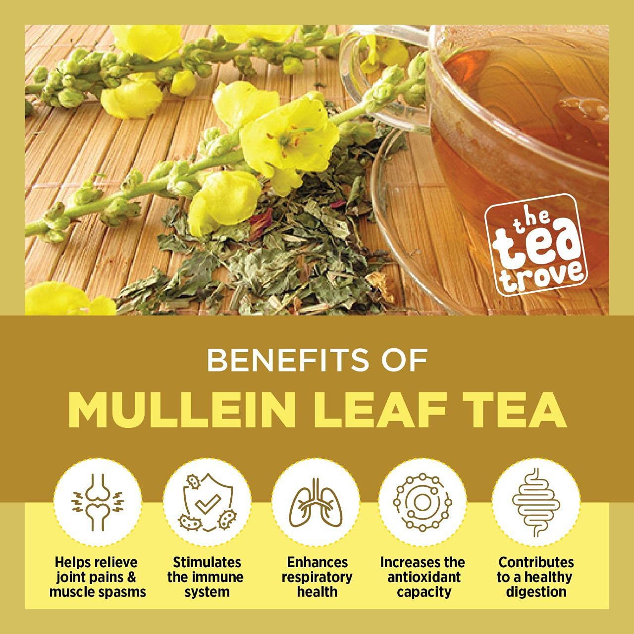 the tea trove Mullein Tea For Lungs Detox (50 Gms,100 Cups),Mullien Tea Leaf May Help Boost Respiratory Health&Immune Support|Mullen Tea Is A Natural Sleep Aid,Natural Pain Relief,50 Grams FROM INDIA(SAM) - View 3 of 4