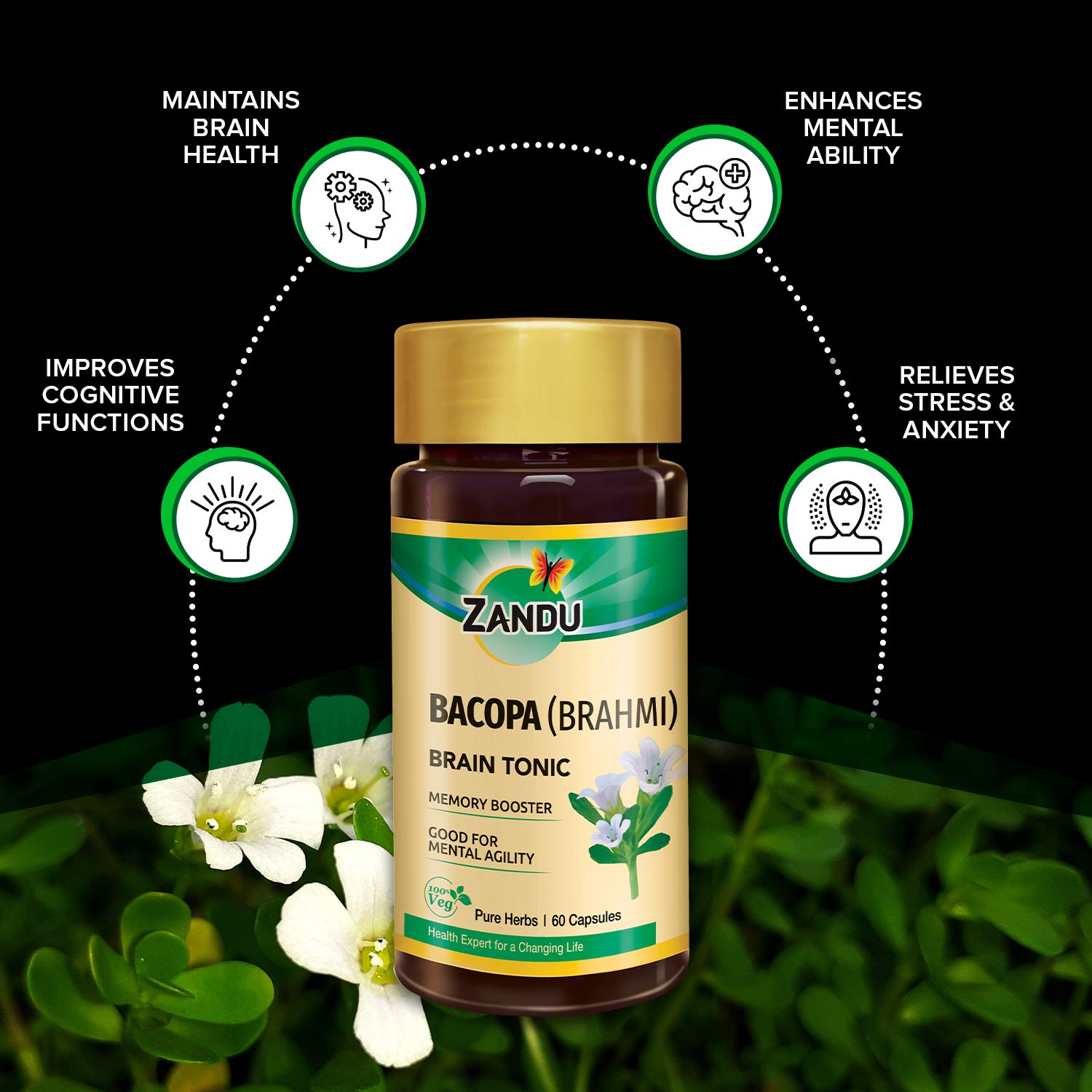 Zandu Bacopa (Brahmi) Capsules: An Age Old Ayurvedic Remedy Made Using Natural Extracts of Brahmi| Helps Improve Focus &amp; Learning- 60 Veg capsules (Pack of 2) (FROM INDIA) SAB - View 3 of 6