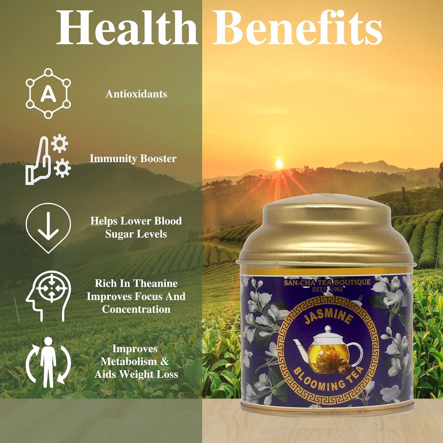 Sancha Tea Boutique|Jasmine Blooming Tea|Flowering Tea|Ornamental Tea|Hand Woven, Jasmine Flower|Blooming Tea Flower (FROM INDIA) SAB - View 4 of 5