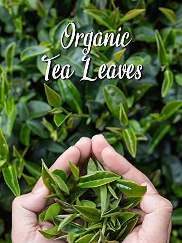 BLUE TEA - Organic Japanese Matcha Green Tea Powder (50g) - Ceremonial Grade - USDA Organic Certified- For Skin and Weight Loss - View 4 of 4