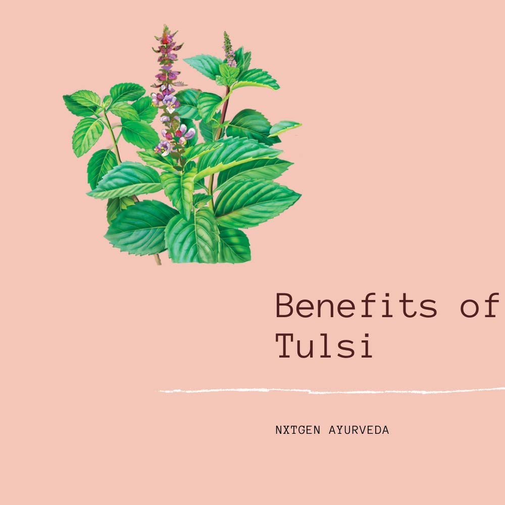 Nxtgen Ayurveda Tulsi Powder | Holy Basil | 100 g | Pure - View 2 of 3