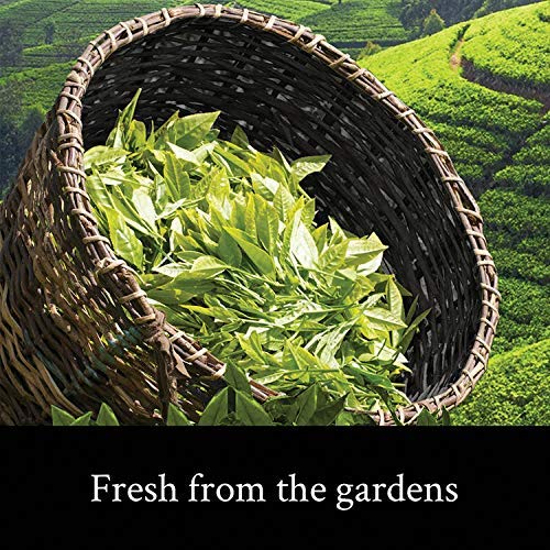 Teamonk Koge High Mountain Jasmine Green Tea Whole Leaf - 200 gm Box (100 Cups) with GreenTea Loose Leaves and Freeze Dried Jasmin Flowers for Natural Flavour. Helps Lose Weight Fast. Antioxidant Rich (FROM INDIASAB) - View 5 of 6