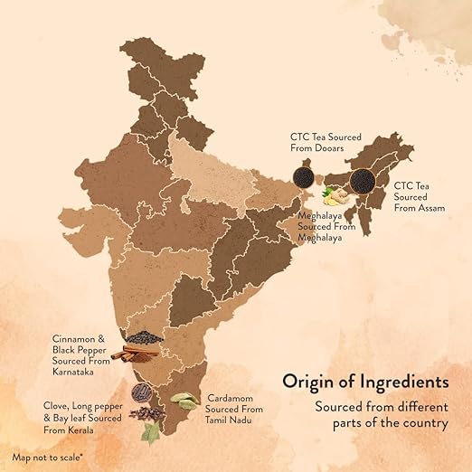 OT India Masala Chai Tin - Premium Mix of 7 Spices | Masala Spices Tea - Strong, Natural &amp; Aromatic Flavour Tea (170 gm x Pack of 2) (FROM INDIA SAB) - View 4 of 5