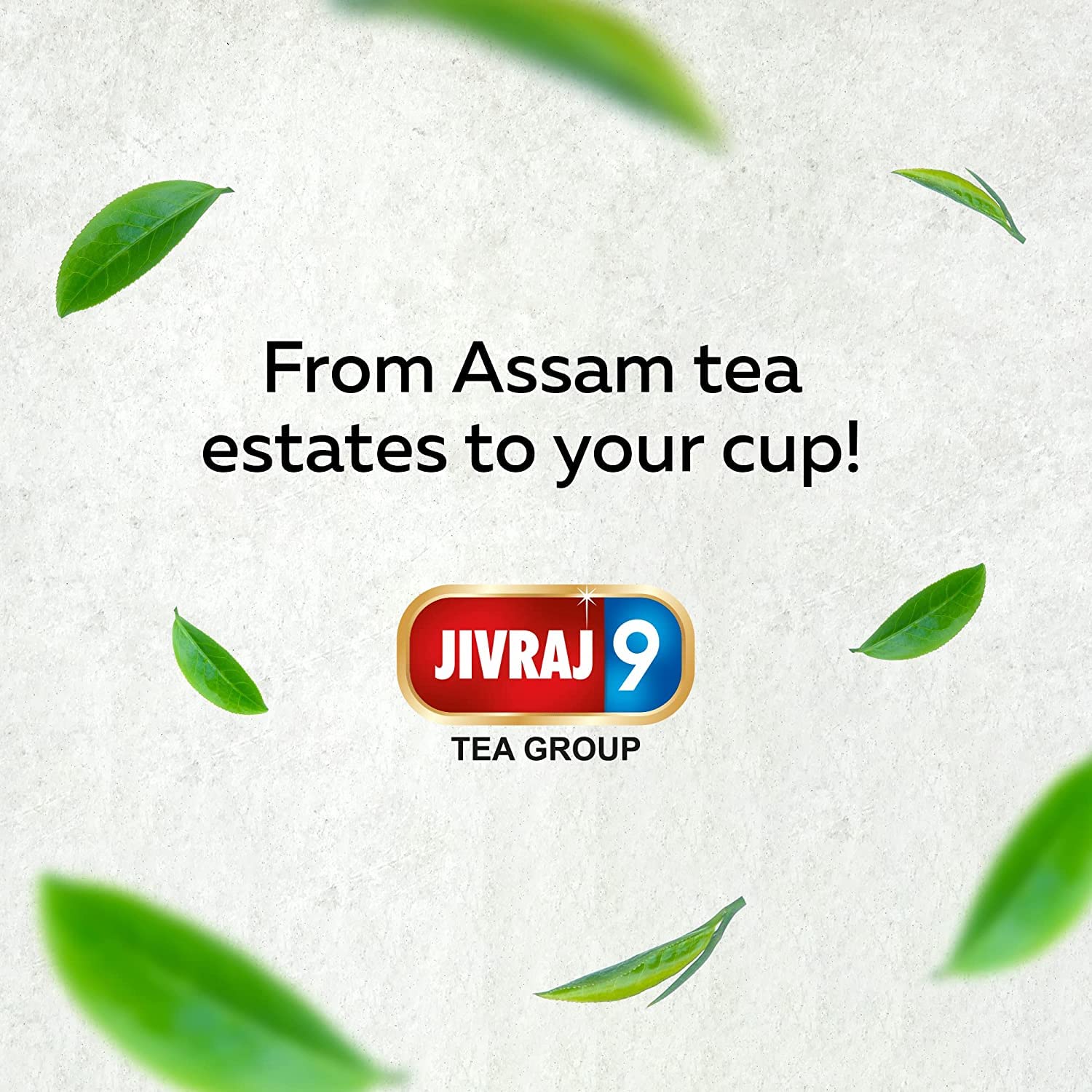 Jivraj 9 CTC Assam Leaf Tea, 1 Kg | Pack of 1 | Premium CTC Chai with Blended Leaves, Strong Aromatic &amp; Quick Brewing Tea with Supreme Taste (FROM INDIA SAB) - View 7 of 7