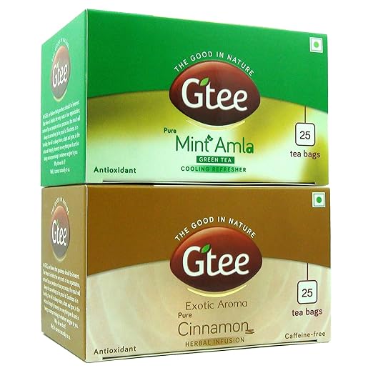 GTEE Green Tea Bags - Mint &amp; Cinnamon Tea Bags, 25 Tea Bags (Pack of 2) (FROM INDIA SAB) - View 3 of 5