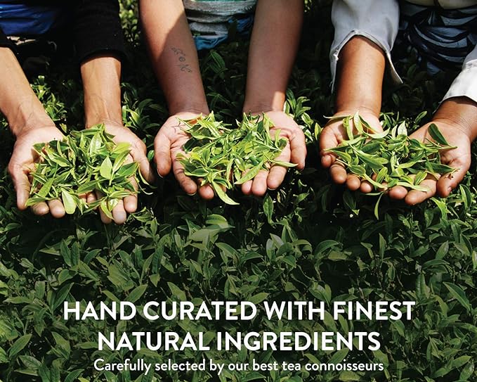 Teamonk - Kimaya White Tea (Makes 75 Cups Of White Tea) | Usda Certified Organic Darjeeling Tea, 150 grams (FROM INDIA SAB) - View 4 of 6