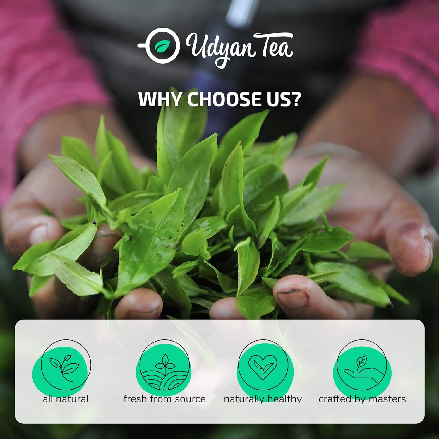 Udyan Tea Chamomile Delight Green Tea, 100g (40 Cups) | Reduces Stress &amp; Promotes Sleep - View 2 of 4