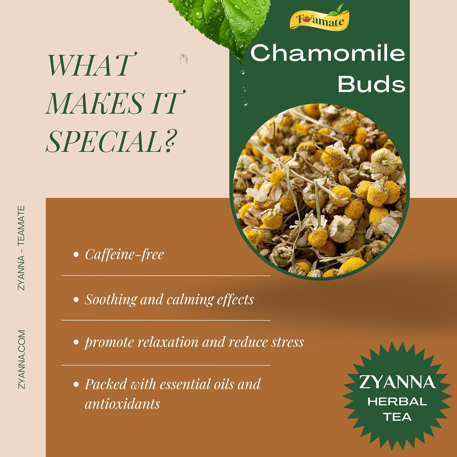 Zyanna Chamomile Herbal Tea - Soothing, Calming, Caffeine-Free Natural Chamomile Buds (Loose, 100gm, 50 Cups) - Supports Healthy Digestion (Chamomile, 100gm) (FROM INDIA SAB) - View 2 of 5