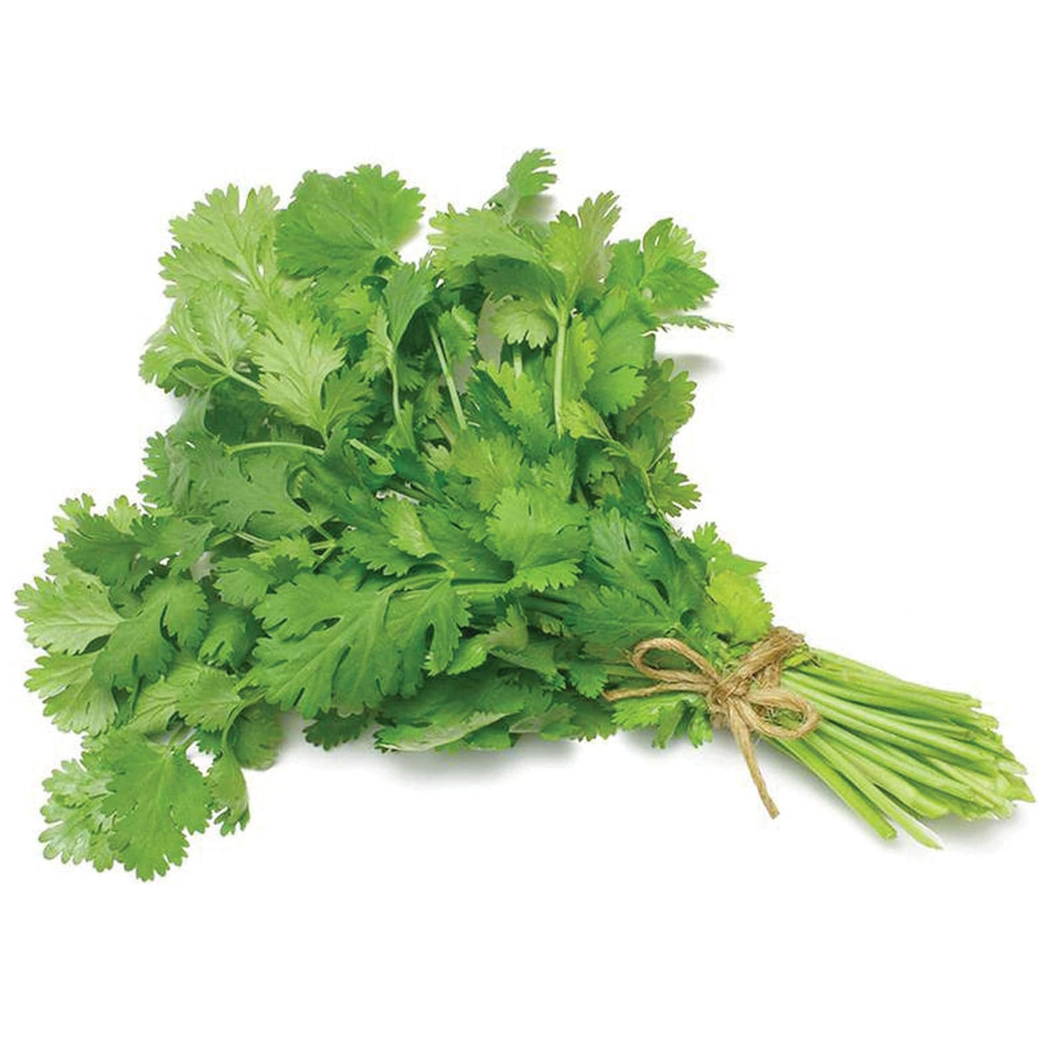 Holy Natural Coriander (Leaves) Powder - 100 GM - View 3 of 3