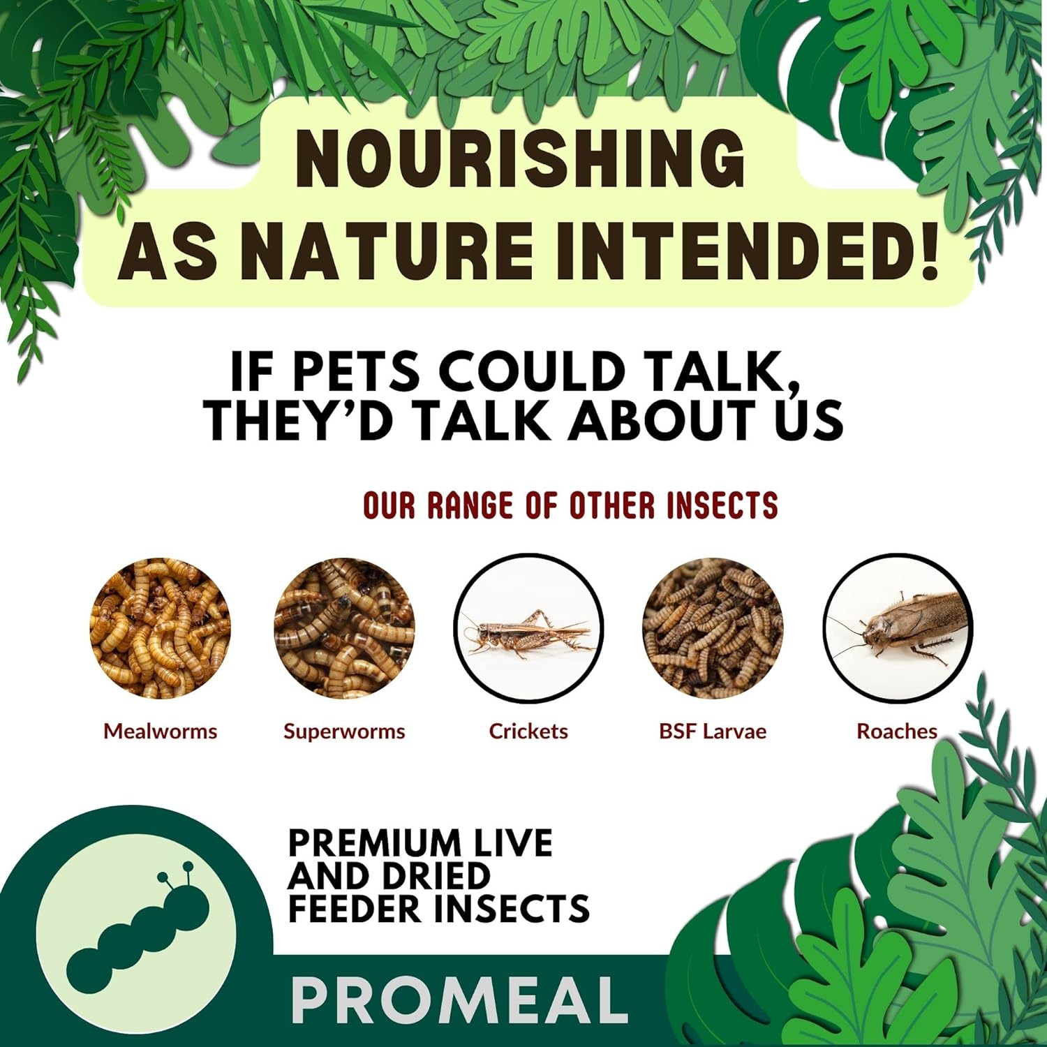 Promeal Medley Treat Insect Mix for Arowana Fish (350 ml) FROM INDIA(SAM) - View 3 of 4