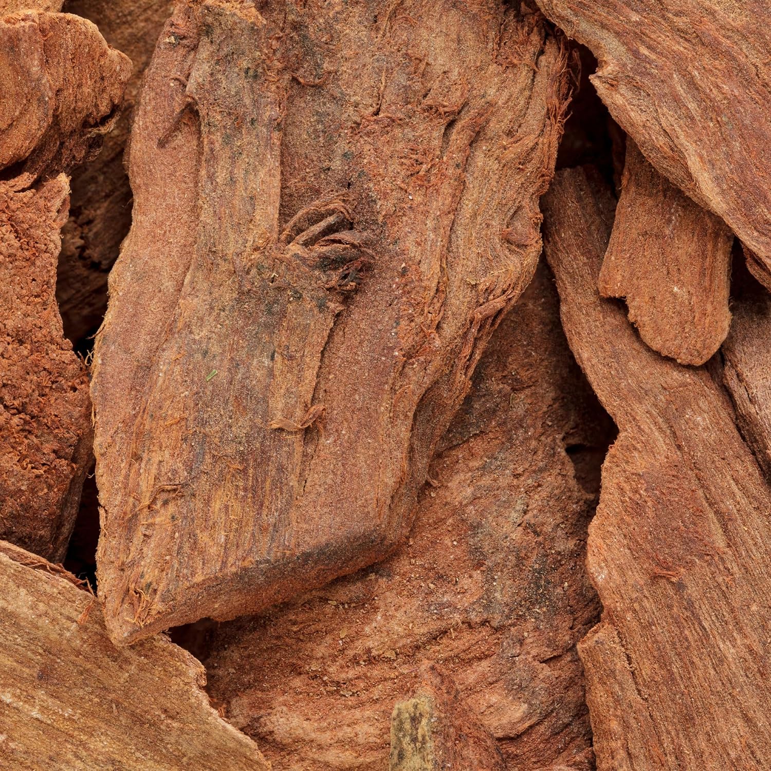 Nxtgen Ayurveda Arjun Chaal Powder | 250 gm | Terminalia Arjuna | Arjun Ki Chaal Powder - View 3 of 3