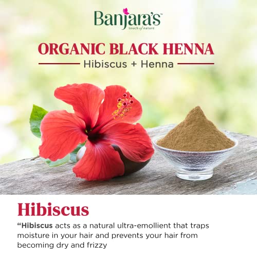 Banjara's Henna Based Hair Color Powder With Hibiscus | 9gm Each Sachet | No Ammonia | Long Lasting | Black Henna | Hair colour |(Pack of 30)FROM INDIA(SAM) - View 4 of 5