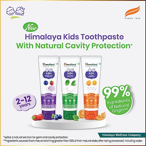 Himalaya Kids Bubble Gum Toothpaste 80 Gm FROM INDIA (SAM) - View 2 of 4