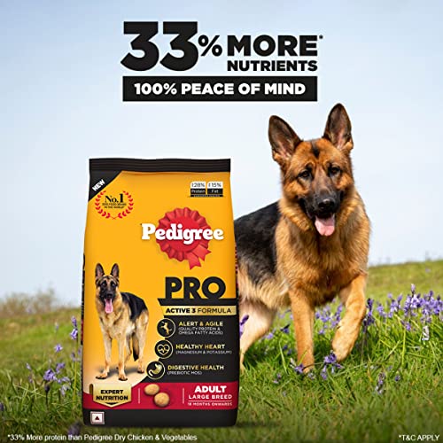 Pedigree Pro Adult Chicken Large Breed, Dry Dog Food (18 Months Onwards), 1.2 Kg Pack FROM INDIA (SAM) - View 3 of 4