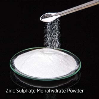 Casa De Amor Zinco Super (Zinc 33% and Sulphur 15%) Micronutrient Fertilizer for All Types of Plants, Lawn and Gardening (100 gm) (FROM INDIA)NUZ - View 7 of 7