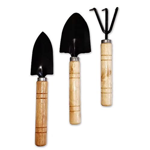 Casa De Amor Gardening Tools kit Hand Cultivator, Small Trowel, Trans-Planter 7 Inches (Mini Set of 3) (Pack of 1) (FROM INDIA)NUZ - Shop at Colombo Mall