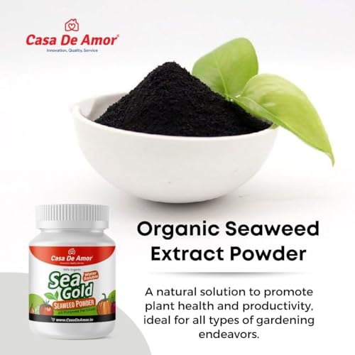 Casa De Amor Sea Gold Organic Seaweed Extract Powder | Water Soluble Concentrate Powder | All Purpose Fertilizer and Plant Growth Booster (100 gm) (FROM INDIA)NUZ - View 8 of 8