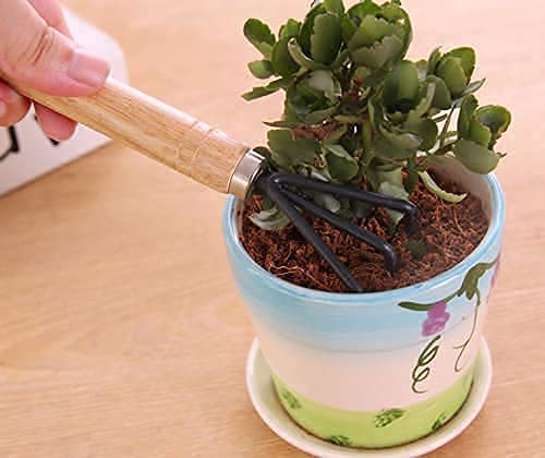 Casa De Amor Gardening Tools kit Hand Cultivator, Small Trowel, Trans-Planter 7 Inches (Mini Set of 3) (Pack of 1) (FROM INDIA)NUZ - View 4 of 7