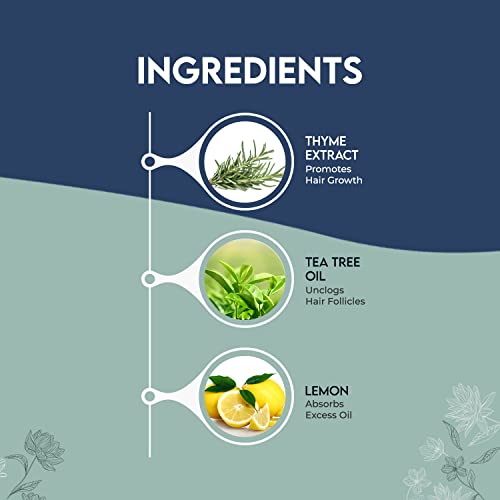 Jovees Herbal Thyme &amp; Tea Tree Anti Dandruff Shampoo | With Tea Tree, Thyme &amp; Lemon Extract | For All Hair Type | Prevents Dandruff &amp; Dry Scalp 300ML - View 2 of 3