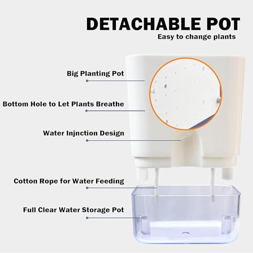 Casa De Amor Self Watering Pots for Indoor Plants | Home Decor, Living Room, Kitchen, Bedroom, Table Top, Office, Gifting | Plants not Included (White, Pack of 2) (FROM INDIA)NUZ - View 5 of 6