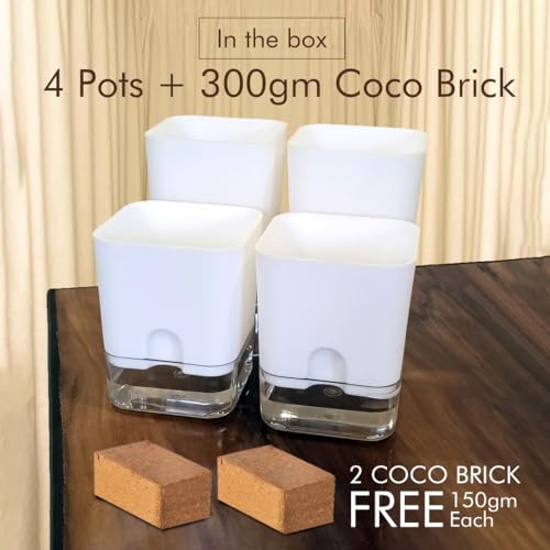 Casa De Amor Self Watering Pots (Pack of 4) for Indoor Plants | Home Decor, Living Room, Kitchen, Bedroom, Table Top, Office, Gifting | Plants not Included (White) (FROM INDIA)NUZ - View 2 of 6