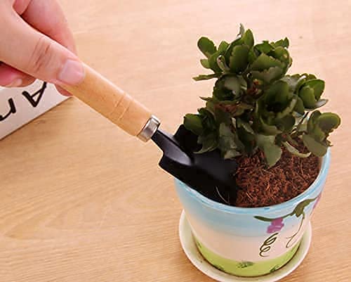 Casa De Amor Gardening Tools kit Hand Cultivator, Small Trowel, Trans-Planter 7 Inches (Mini Set of 3) (Pack of 1) (FROM INDIA)NUZ - View 6 of 7