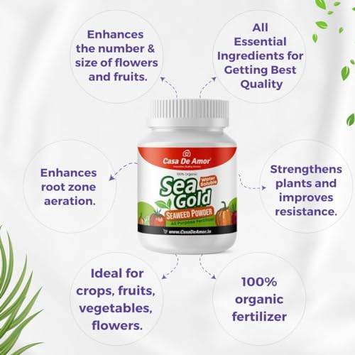 Casa De Amor Sea Gold Organic Seaweed Extract Powder | Water Soluble Concentrate Powder | All Purpose Fertilizer and Plant Growth Booster (100 gm) (FROM INDIA)NUZ - View 4 of 8