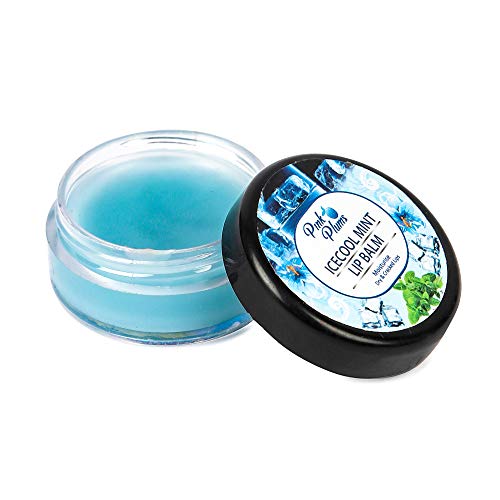 Pink Plums Lip Balm for Moisturise Dry &amp; Cracked Lips|Blue Berry | Icecool Mint | Soft Rose | Strawberry Combo (Pack-4), Each 10g  (FROM INDIA SAB) - View 5 of 5