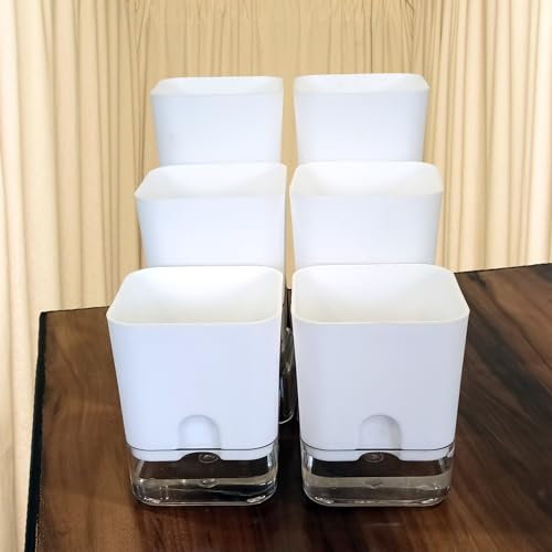 Casa De Amor Self Watering Pots (Pack of 6) for Indoor Plants | Home Decor, Living Room, Kitchen, Bedroom, Table Top, Office, Gifting | Plants not Included (White) (FROM INDIA)NUZ - Shop at Colombo Mall
