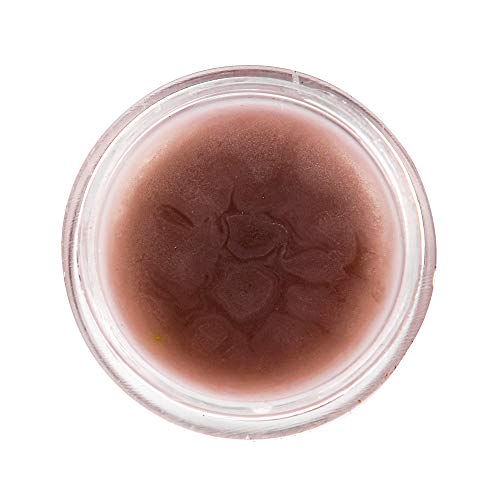 Pink Plums Lip Balm for Shiny/Moisturise Dry &amp; Cracked Lips|Coco Shea | Strawberry | Orange | Soft Rose Combo (Pack-4), Each 10g  (FROM INDIA SAB) - View 3 of 5