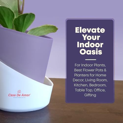 Casa De Amor Self Watering Pots for Indoor Plants | Home Decor, Living Room, Kitchen, Bedroom, Table Top, Office, Gifting | Plants not Included (Baby Blue, Pack of 2) (FROM INDIA)NUZ - View 3 of 4