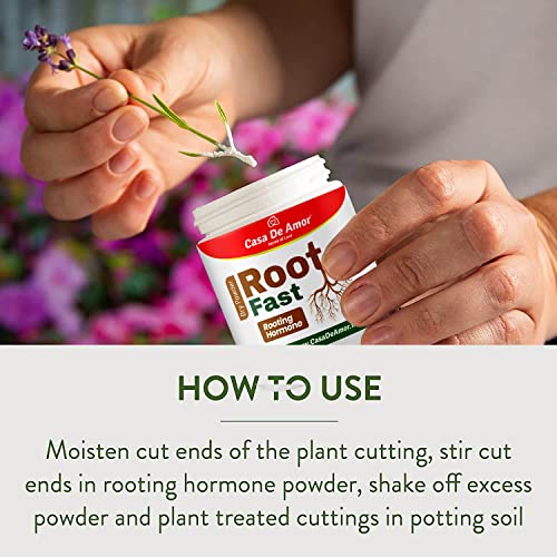 Casa De Amor Root Fast Rooting Hormone, Promotes Rooting, Grow New Plants From Cuttings (100 Gm, White), Powder (FROM INDIA)NUZ - View 6 of 7