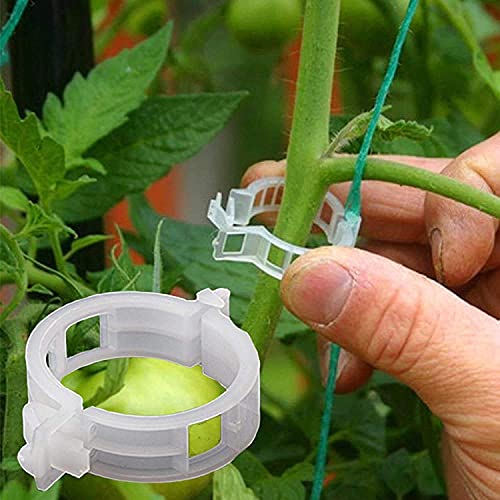 Casa De Amor 50 pcs Tomato, Bottle Gourd, Karela, Veggie Garden Plant Support Clips (FROM INDIA)NUZ - View 3 of 6