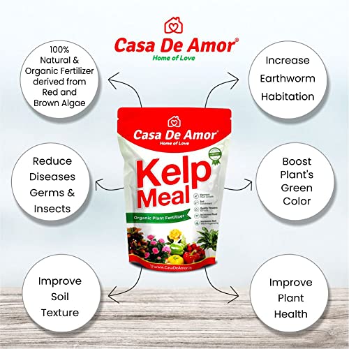 Casa De Amor Kelp Water Soluble Concentrate Powder | Pure &amp; Natural | Suitable For All Types of Plants (100 gm) - Set of 5 (FROM INDIA)NUZ - View 5 of 7