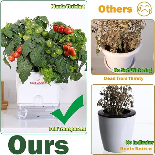 Casa De Amor Self Watering Pots (Pack of 4) for Indoor Plants | Home Decor, Living Room, Kitchen, Bedroom, Table Top, Office, Gifting | Plants not Included (White) (FROM INDIA)NUZ - View 3 of 6