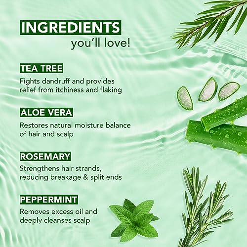Botanic Hearth Tea Tree &amp; Aloe Vera Shampoo with Rosemary &amp; Peppermint Oil | Helps Control Dandruff | Soothes Dry, Itchy Scalp | Shampoo for Women and Men | Sulphate &amp; Paraben Free | 245ml - View 4 of 4