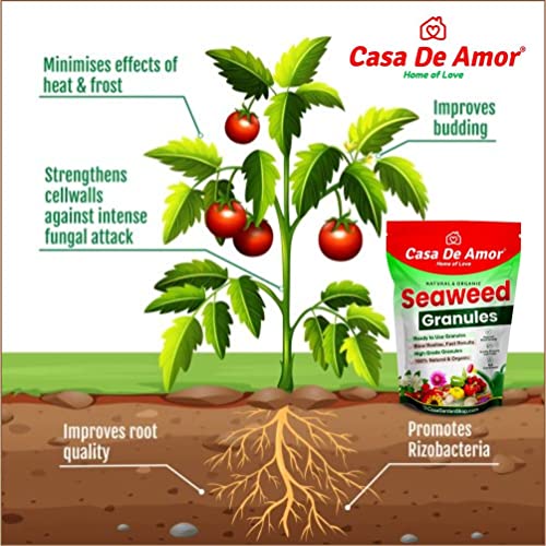 Casa De Amor Seaweed Granules Organic Fertilizer, Plant Growth Promoter &amp; Bio-Stimulant, Suitable For All Types of Plants (2 Kg) (FROM INDIA)NUZ - View 3 of 6