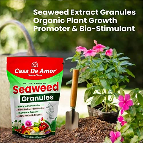 Casa De Amor Seaweed Granules Organic Fertilizer, Plant Growth Promoter &amp; Bio-Stimulant, Suitable For All Types of Plants (2 Kg) (FROM INDIA)NUZ - View 4 of 6
