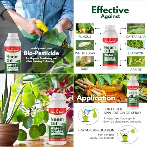 Casa De Amor Rose Care (900gm) | Water Soluble Neem Oil 250 ml | Bio NPK Granules 900 gm | Epsom Salt 900 gm | Root Care Mycorrhiza 900 gm for Organic Gardening Combo (1 pack of 5 items) (FROM INDIA)NUZ - View 4 of 7