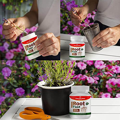 Casa De Amor Rose Care Organic Fertilizer for Rose Plants 900 gm and Root Fast Rooting Hormone, Promotes Rooting (50 gm) Grow New Plants from Cuttings (FROM INDIA)NUZ - View 3 of 8