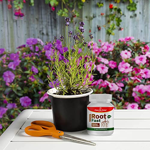 Casa De Amor Root Fast Rooting Hormone, Promotes Rooting, Grow New Plants From Cuttings (100 Gm, White), Powder (FROM INDIA)NUZ - View 5 of 7