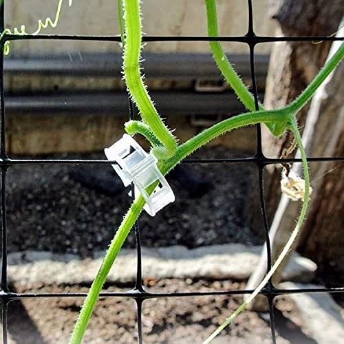 Casa De Amor 50 pcs Tomato, Bottle Gourd, Karela, Veggie Garden Plant Support Clips (FROM INDIA)NUZ - View 4 of 6